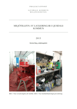 Projektrapport Lackeringar 2015