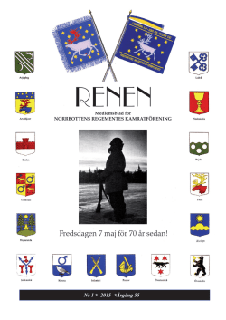 Renen 2015.indd