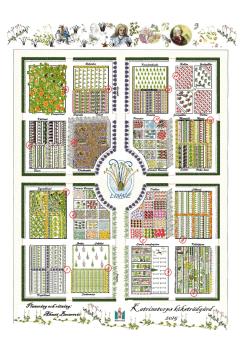 Köksträdgården 2015 – plan och växtförteckning