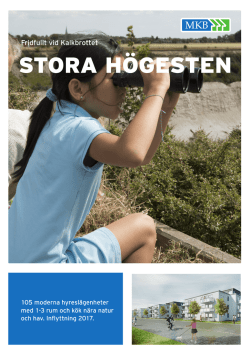 Informationsblad Limhamn Stora Högesten