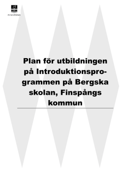 Plan för utbildningen på Introduktionsprogrammen på Nya Bergska