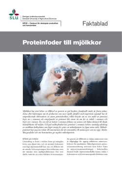 Faktablad Proteinfoder till mjölkkor