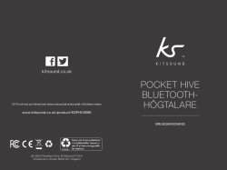 Pocket Hive BluetootH- Högtalare