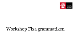 Workshop grammatik + pdf