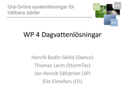 WP 4 Dagvattenlösningar - Grå Gröna Systemlösningar för Hållbara