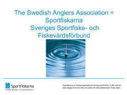 Swedish Anglers Association= Sportfiskarna
