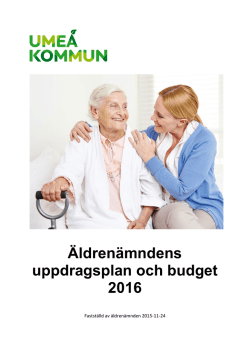 Uppdragsplan och budget för äldrenämnden 2016