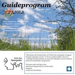 Guideprogram - Studiefrämjandet