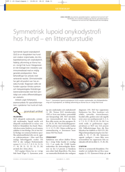 Artikel: Symmetrisk lupoid onykodystrofi hos hund – en litteraturstudie