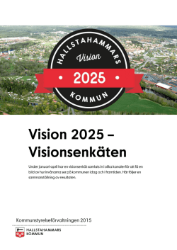 Vision 2025 - Sammanställning av