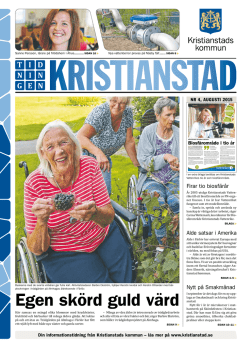 Egen sk&ouml;rd guld v&auml;rd - Kristianstad kommun