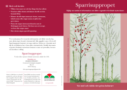 Sparrisuppropet (2007)