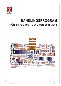 Handlingsprogram för skydd mot olyckor 2015-2018