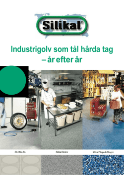 SILIKAL® Dekor - Silikal Norge
