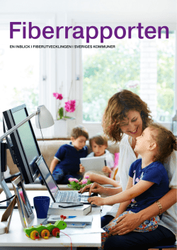 Fiberrapporten