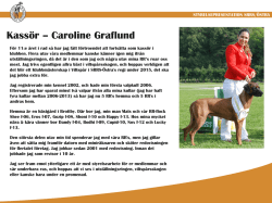 Presentation 2015 - Kassör, Caroline Graflund