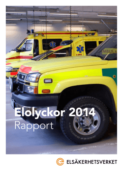 Rapport Elolyckor 2014