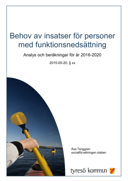 Behov av insatser för personer med