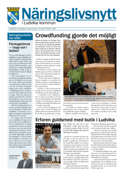 Näringslivsnytt nr 8 2015 Ludvika kommun