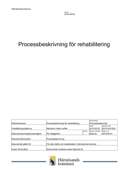 Processbeskrivning för rehabilitering