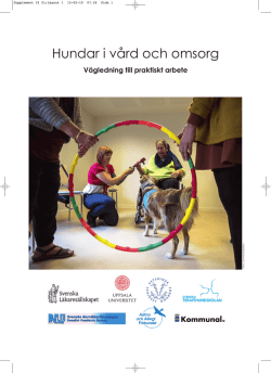 Hundar i vård och omsorg - Sveriges Veterinärförbund