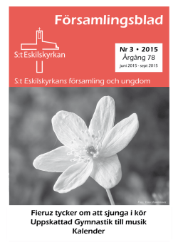 Nr 3 2015  - S:t Eskilskyrkan