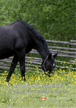 Ridled 2015 – PDF
