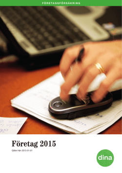 Företag 2015 - Dina Försäkringar