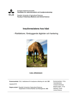 Insulinresistens hos häst