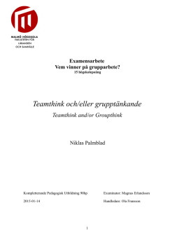 Niklas Palmblad Examensarbete KPU 20150114
