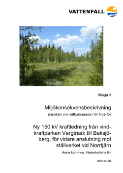 Miljokonsekvensbeskrivning 2015 100389