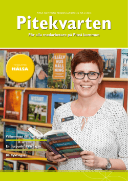 Pitekvarten nr 2 2015, , nytt fönster
