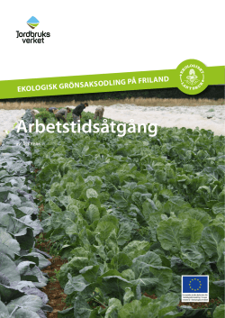 Arbetstidsåtgång - bild