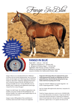 FANGO IN BLUE