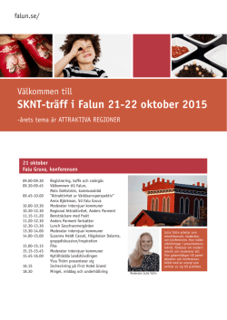 Program SKNT - Falu Kommun