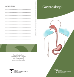 Gastroskopi