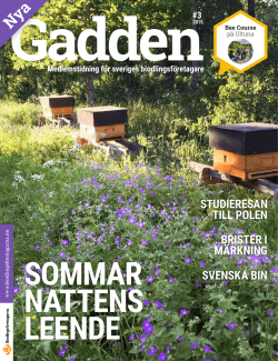 studieresan till polen brister i märkning svenska bin