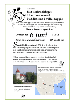 2015 Fira 6 juni i Villa Baggås