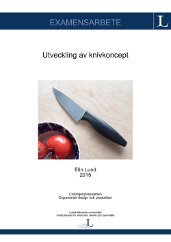 EXAMENSARBETE - pure.ltu.se - Luleå tekniska universitet