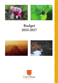 Budget 2015-2017