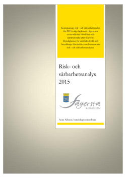Risk- och sårbarhetsanalys 2015