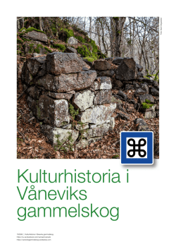 Kulturhistoria i Våneviks gammelskog