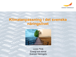 Linda Flink – Klimatanpassning i det svenska näringslivet