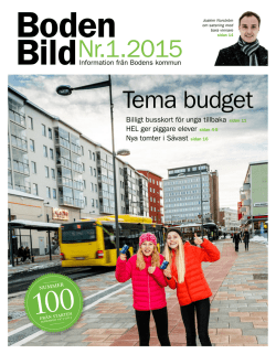 Boden Bild Nr 1 - 2015 Budgetnummer