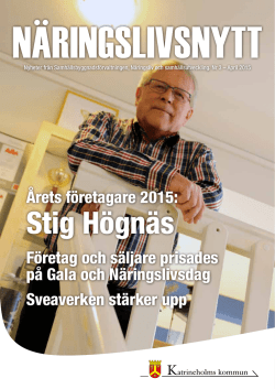 Stig Högnäs - Katrineholm
