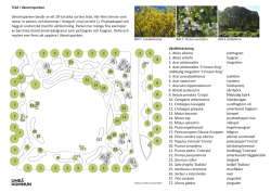 Växtlista träd pdf