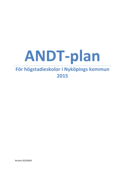 ANDT-plan Version 150624