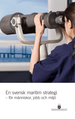 En svensk maritim strategi