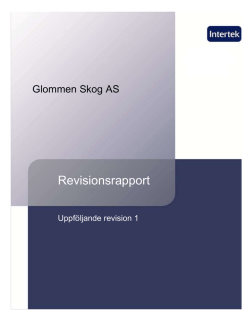 Svensk revisionsrapport