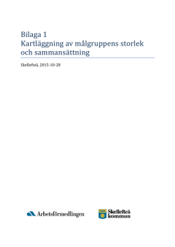 Skellefteå - Delegationen för unga till arbete